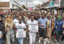 Afrique du Sud : du soutien africain au rejet des Africains