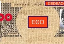Eco 2027 : la CEDEAO face au défi d’une monnaie sans le Sahel
